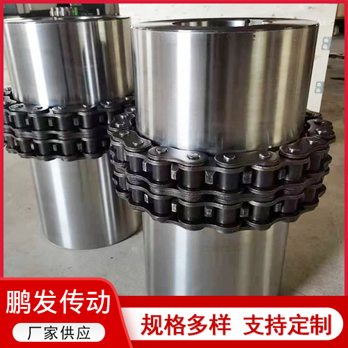链条联轴器