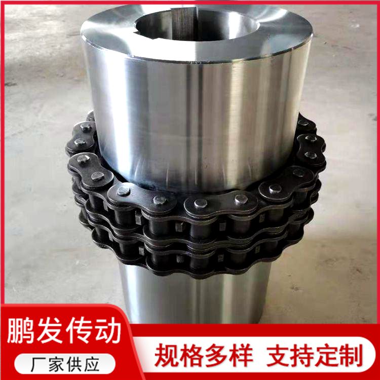 滚子链联轴器